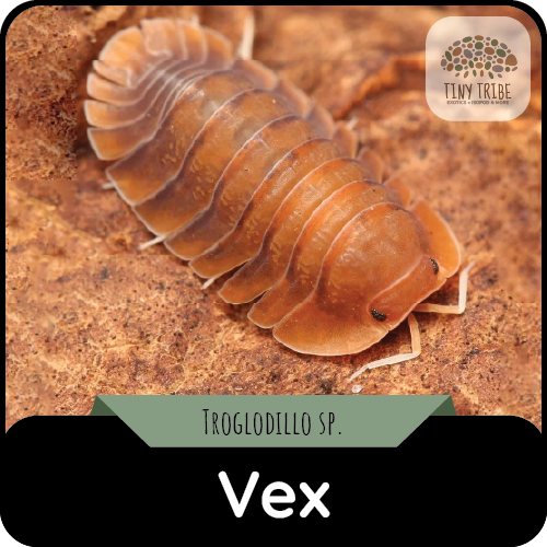 Vex