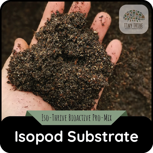 Isopod Substrate / Soil